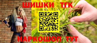 стафф Дубна