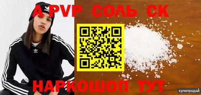 стафф Дубна