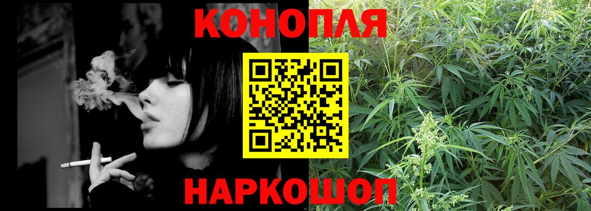 Шишки марихуана план  Вход с VPN  Конопля OG Kush  Пермь 